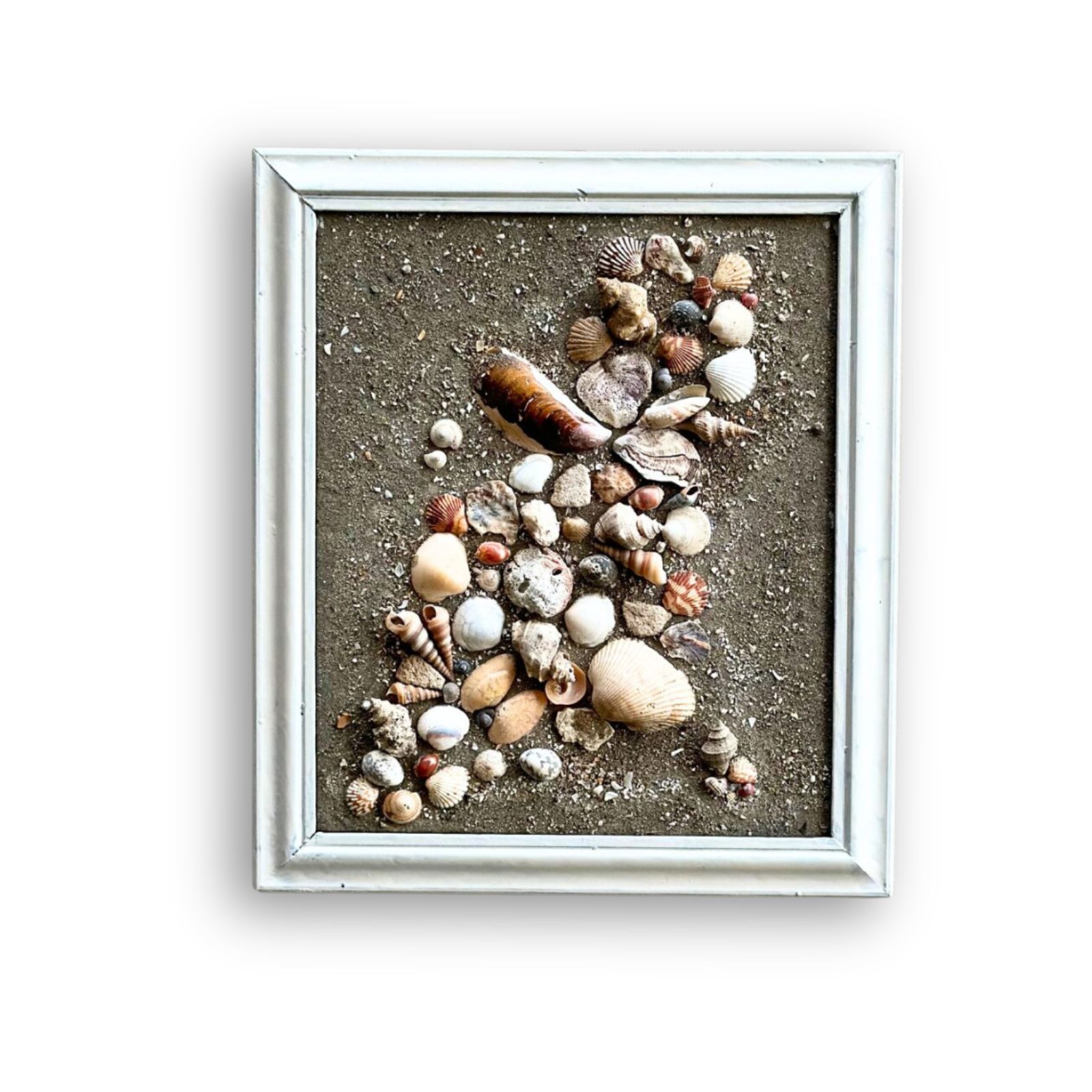 Shell Canvas